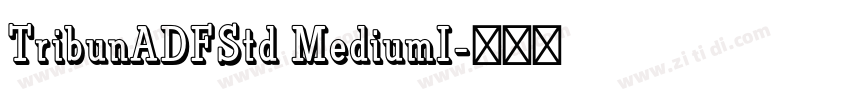 TribunADFStd MediumI字体转换